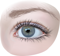 Eye PNG