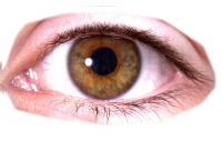 Eye PNG image