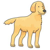 Labrador Retriever PNG