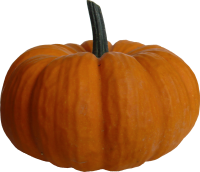 Pumpkin PNG