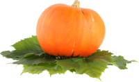 Pumpkin PNG