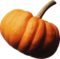 Pumpkin PNG