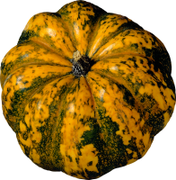 Pumpkin PNG