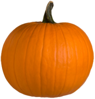 Pumpkin PNG image