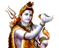 Shiva PNG