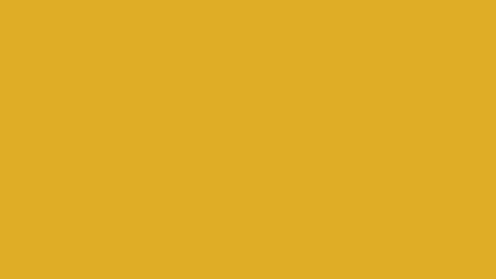 mustard yellow solid color background