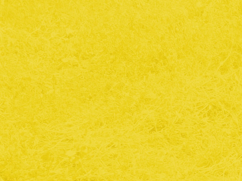 best yellow background 2020