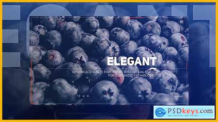 Videohive Elegant Flow Slides Free