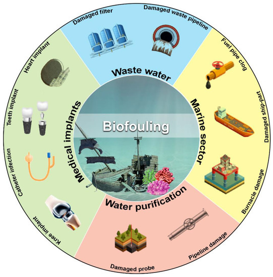 Molecules | Free Full-Text | Marine Antimicrobial Peptides-Based ...