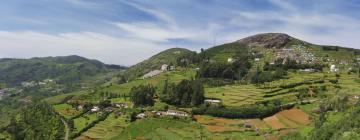 Hotels in Ooty