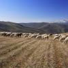 Aluguer de carro barato em Trás-os-Montes e Alto Douro