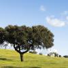 Aluguer de carro barato em Alentejo