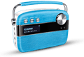 saregama carvaan electric blue image