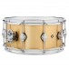 DW Drums Performance Series 14