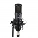 Imperative Audio Lucent Multi-Pattern Condenser Mic