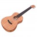 Cordoba Mini-II FMH (Flame Mahogany) angle