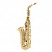 Trevor James Signature Custom Alto Saxophone, Gold Lacquer