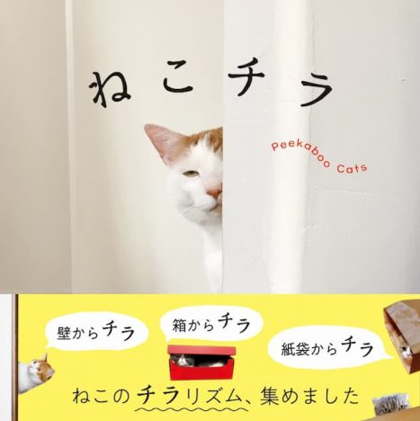 ねこのチラリズム写真集『ねこチラ』