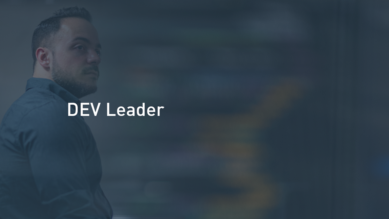 DevLeader