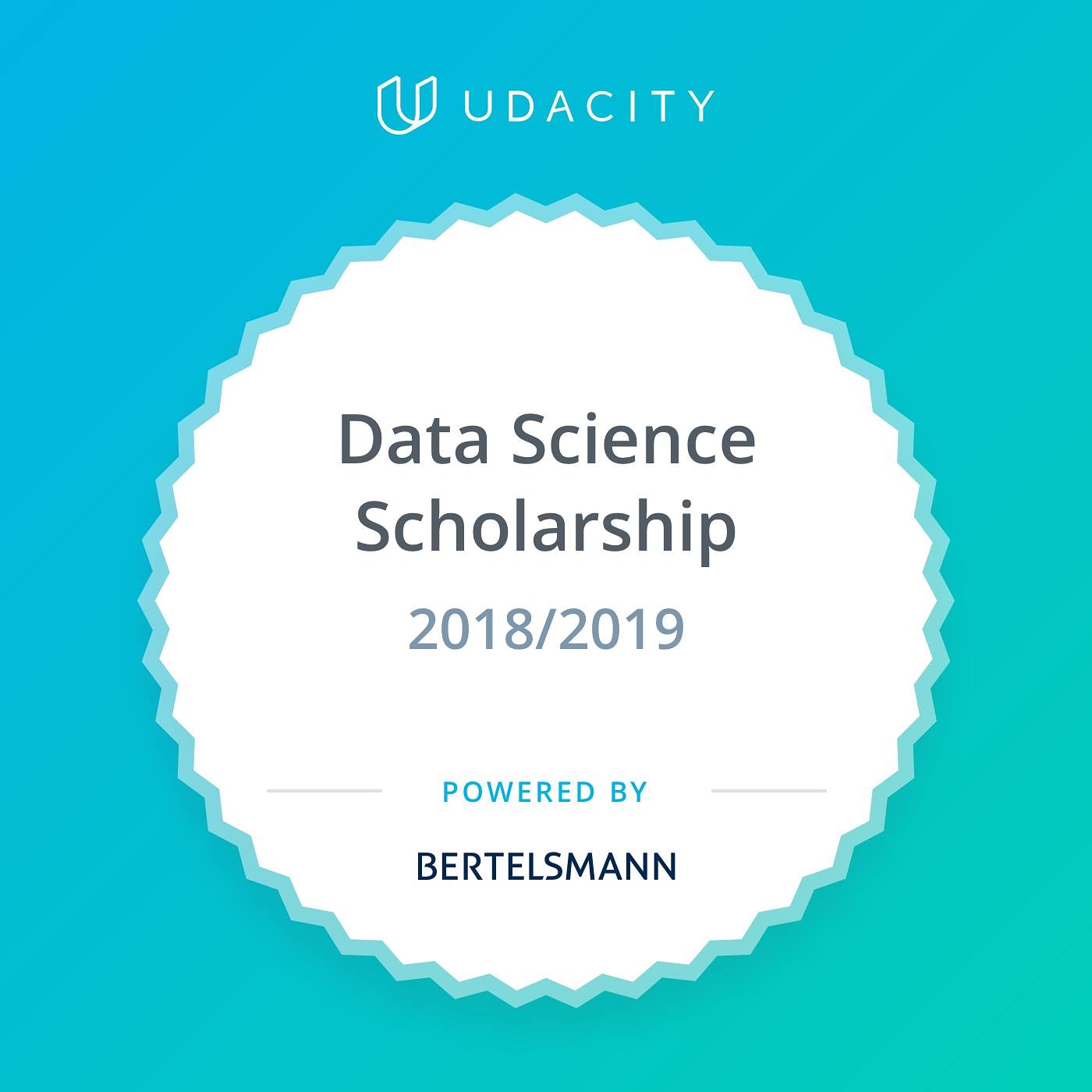 udacity-bertelsmann-ds-challenge