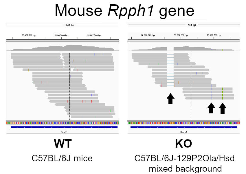 variants2genes