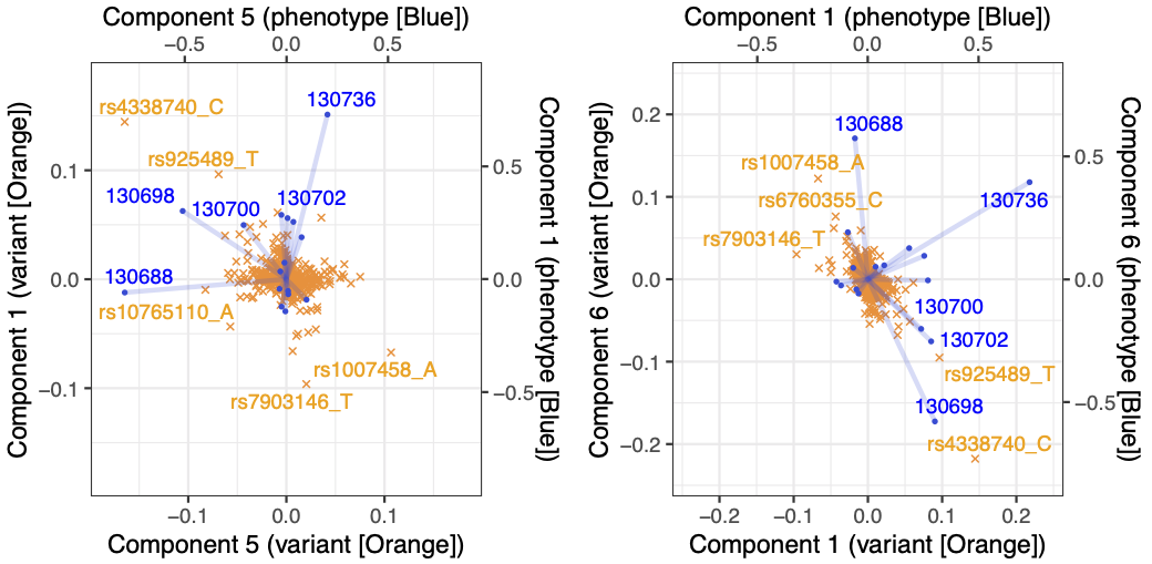 multisnpnet-Cox