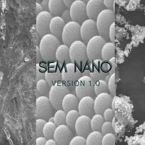 SEMNano