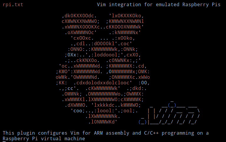 rpi-vim