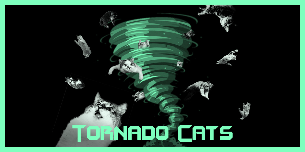 tornado-cats