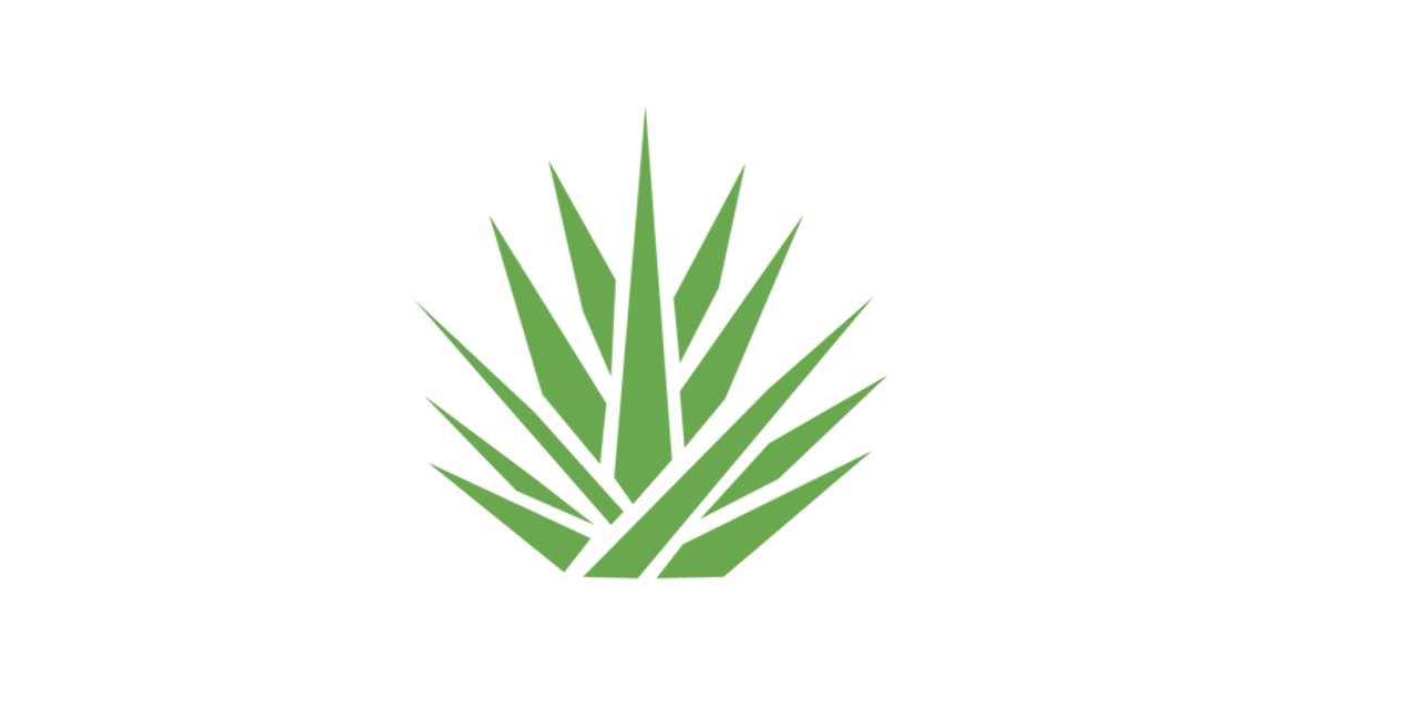 agave