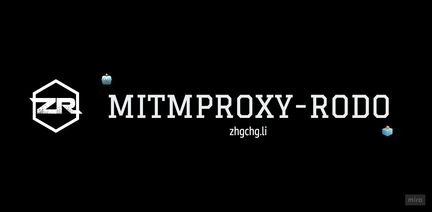 mitmproxy-rodo