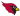 Phoenix Cardinals