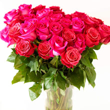 hot pink roses close up in a glass vase  
