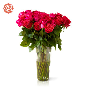 hot pink roses in a glass vase 