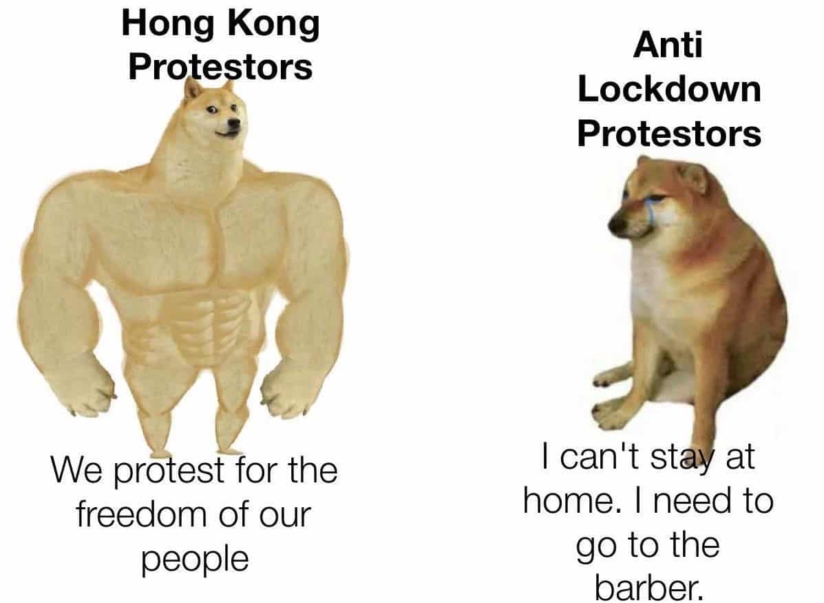 swole doge, swole doge meme, swole doge and cheems, swole doge and cheems meme, swole doge memes, cheems memes, cheems meme, swole doge and cheems memes