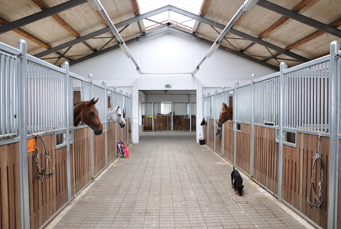 Large interior stable for a number of horses.