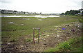 SW5638 : RSPB sign on the Hayle Estuary by John Rostron