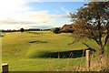  : Canmore Golf Course,Dunfermline. by edward mcmaihin