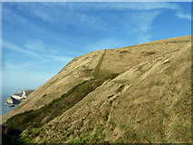 SY8180 : Coastal slope below Hambury Tout by Robin Webster