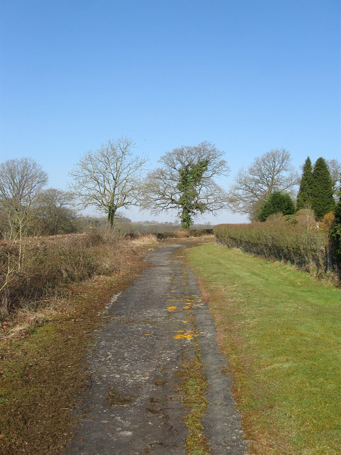 Old Course of Billingshurst Road