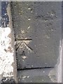 SE2636 : Ordnance Survey Cut Mark by Peter Wood