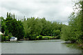 SO8163 : The River Severn south-east of Shrawley, Worcestershire by Roger  D Kidd