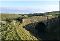 NZ0594 : A bridge over the old Northumberland Central Railway by Russel Wills