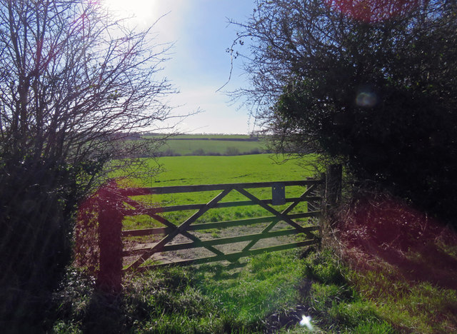 Gate into a field by Cold Overton Road