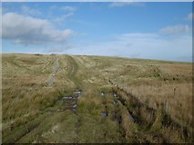  : Dere Street by Richard Webb