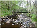 NZ0393 : Footbridge over the Newbiggin Burn by Russel Wills