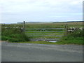  : Field entrance off National Cycle Route 1 by JThomas