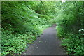 SE3041 : Path along the south bank of Eccup Reservoir by Rich Tea