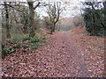 SJ2484 : Track and boundary stone by Thurstaston Dawpool School by John S Turner