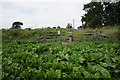 SE6424 : Path over railway lines by Ian S